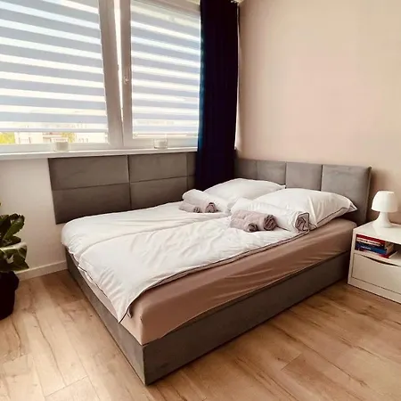 Apartament Stone *